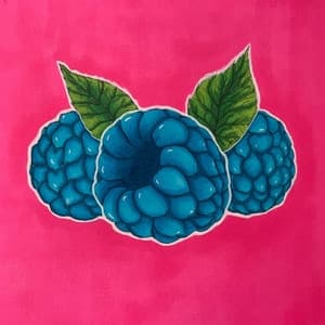 Album cover art for Fruit