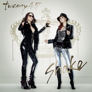Album cover art for Shake