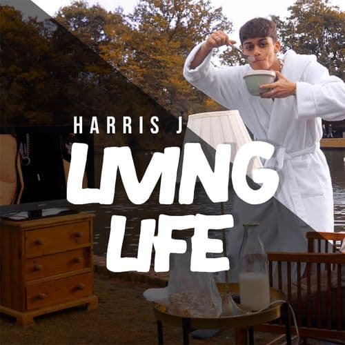 Album cover art for Living Life