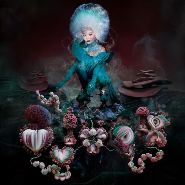 Album cover art for Fossora