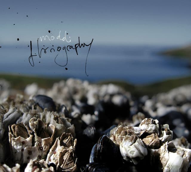 Album cover art for Floriography