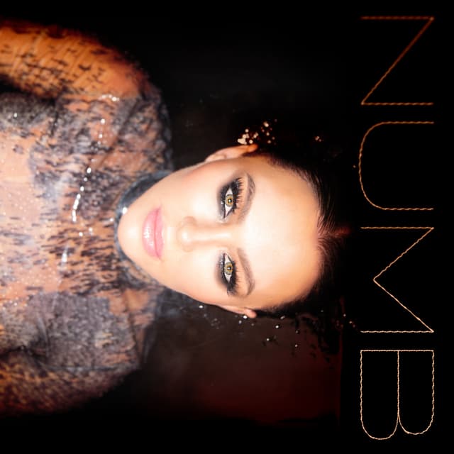 Album cover art for Numb