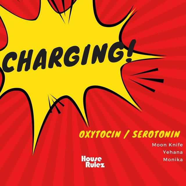 Album cover art for Charging!