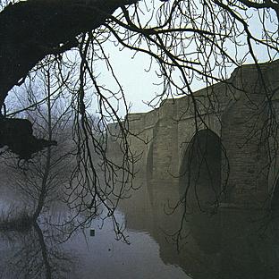 Album cover art for The Mirror Test