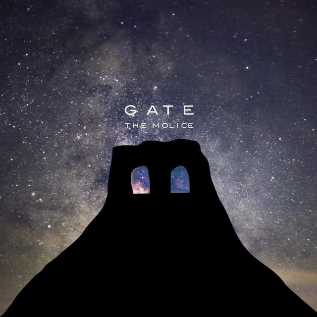 Album cover art for GATE