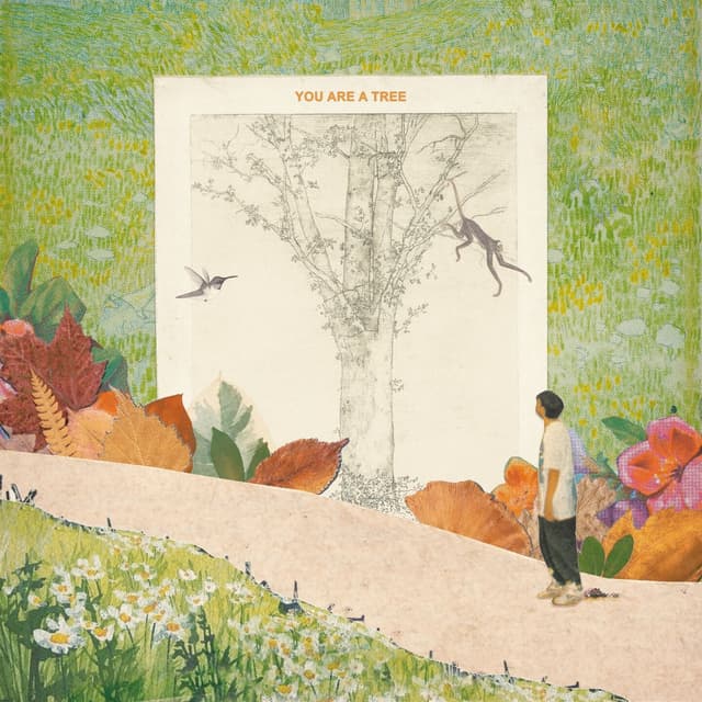 Album cover art for You are a Tree