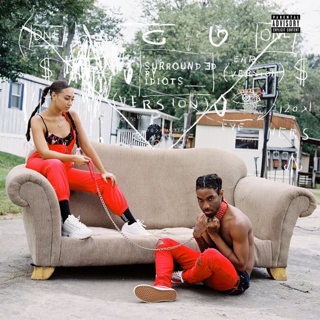 Album cover art for Surrounded by Idiots