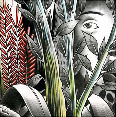 Lyric cover art