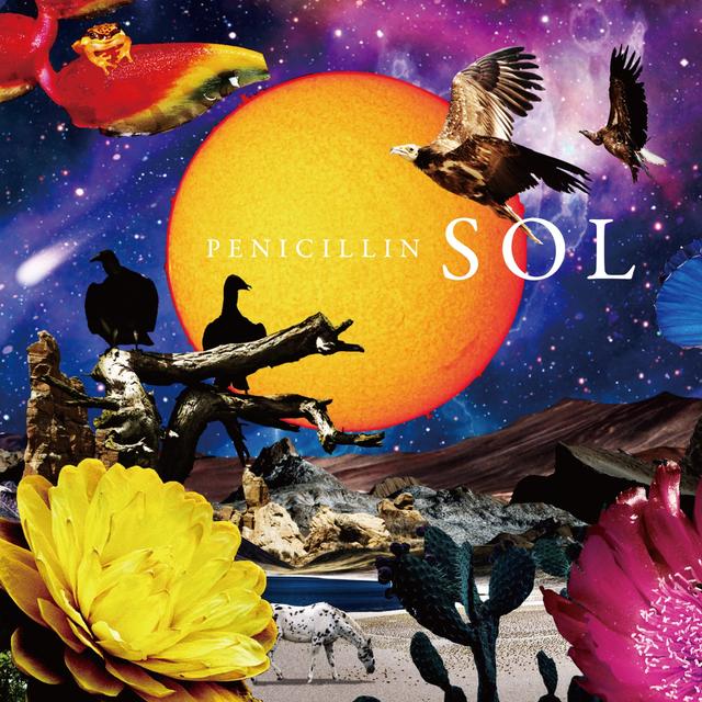 Album cover art for SOL Type-A - Single