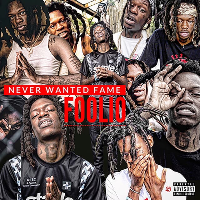 Album cover art for Never Wanted Fame