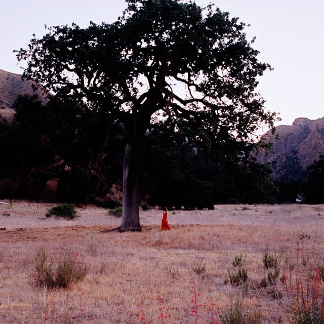 Album cover art for It's Not Serious