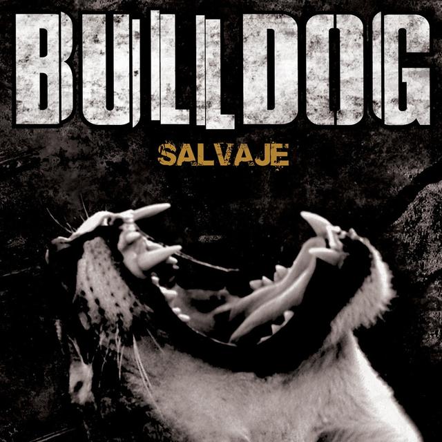 Album cover art for Salvaje