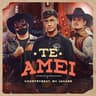 Te Amei
