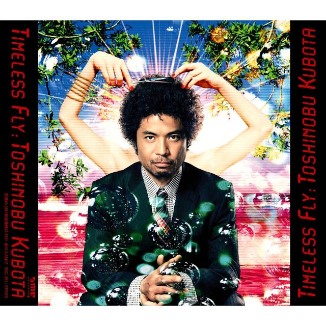 Album cover art for Timeless Fly