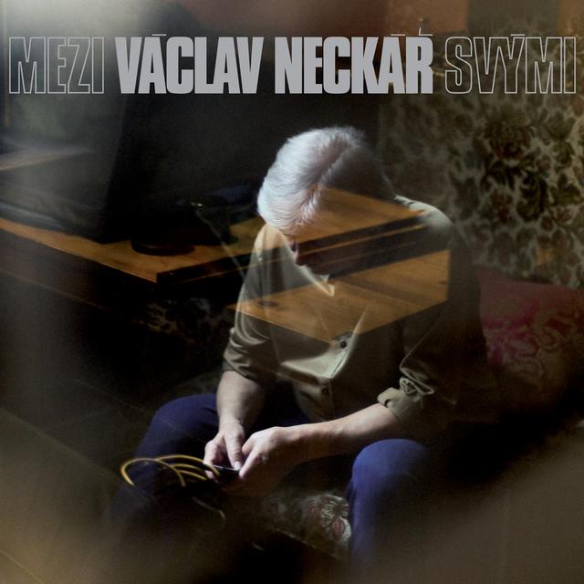 Album cover art for Mezi Svými