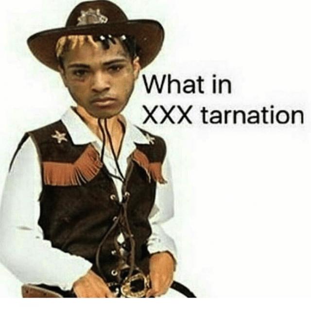 Album cover art for What in XXXtarnation