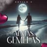 Almas Gemelas