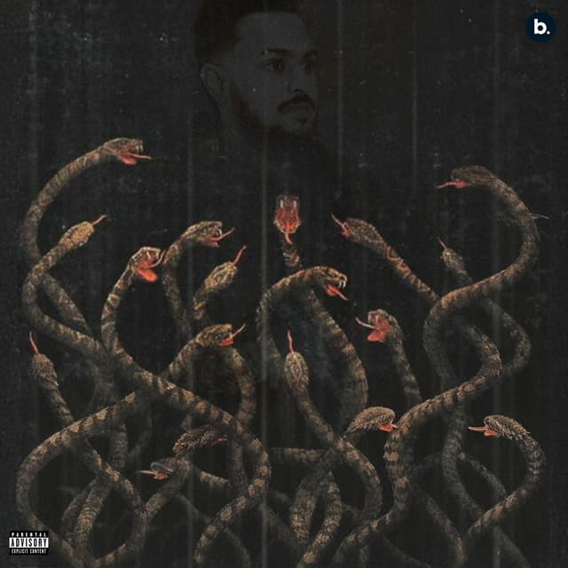 Album cover art for Snake