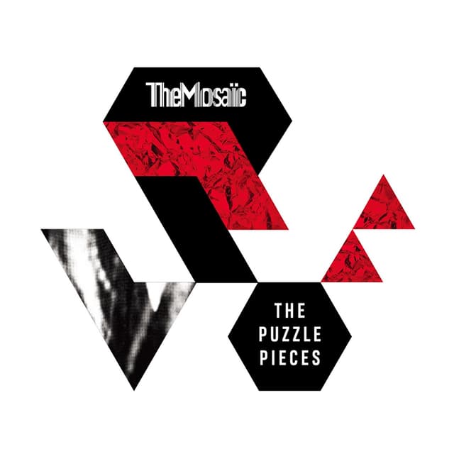 Album cover art for The Puzzle Pieces