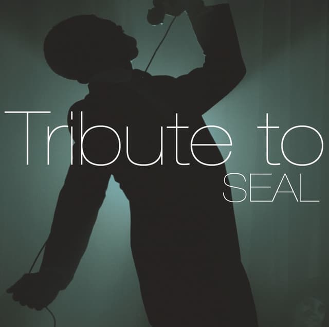 Album cover art for Tribute To Seal