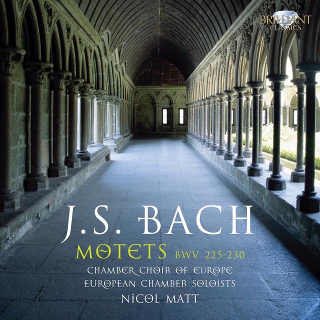 Album cover art for Bach : Motets