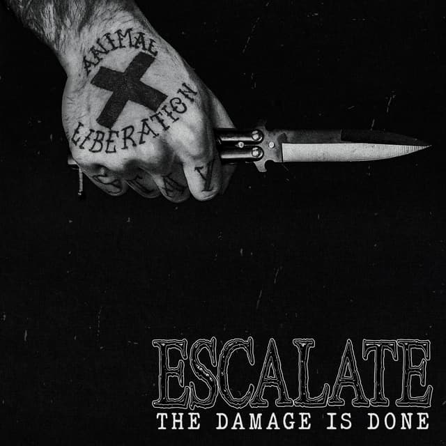 Album cover art for The Damage Is Done