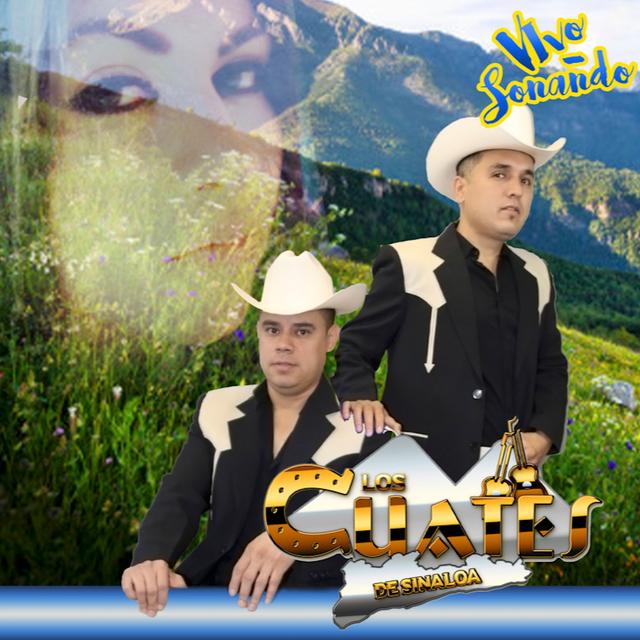 Album cover art for Vivo Soñando