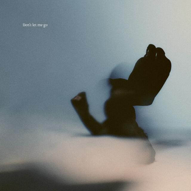Album cover art for Don't Let Me Go