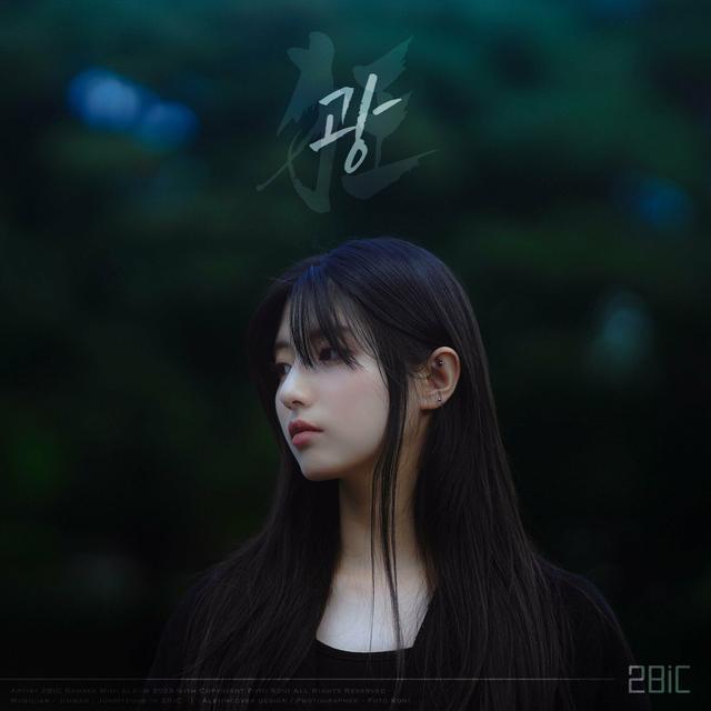 Album cover art for Insane