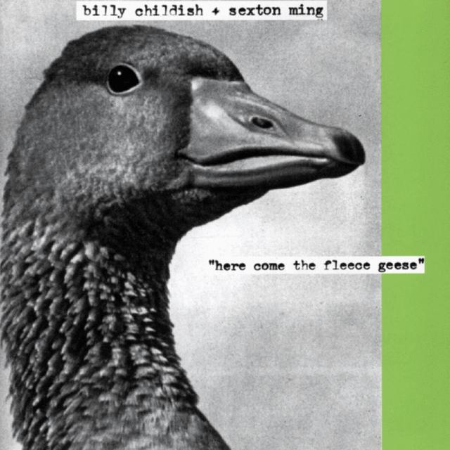 Album cover art for Here Come The Fleece Geese