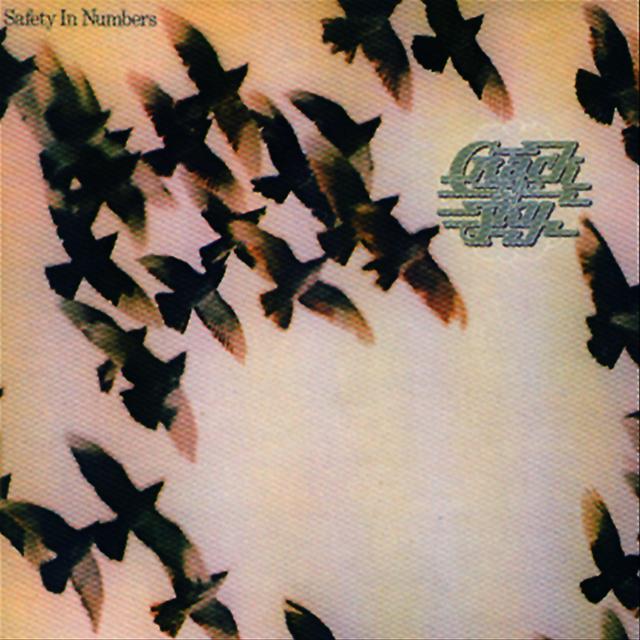 Album cover art for Safety In Numbers