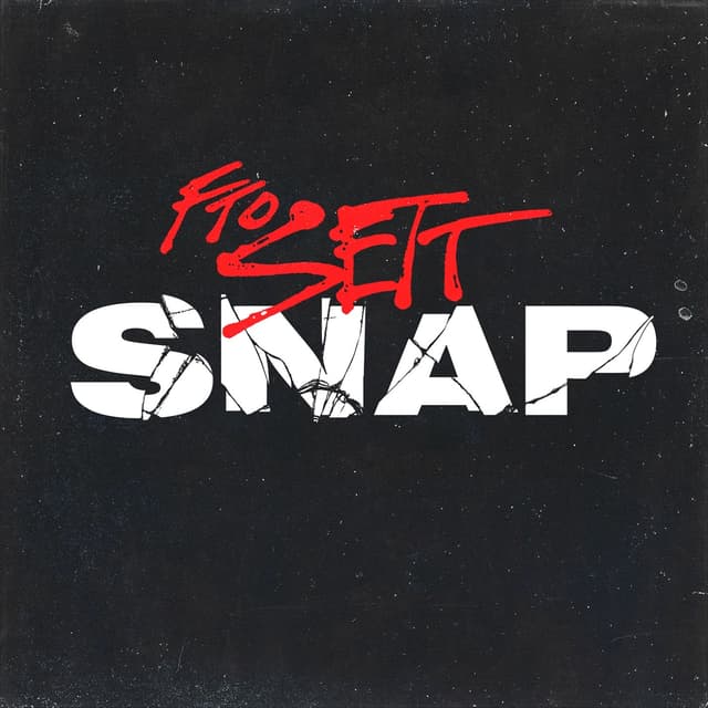 Album cover art for Snap