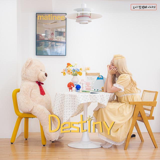 Album cover art for DESTINY