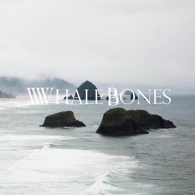 Album cover art for The Seaside EP
