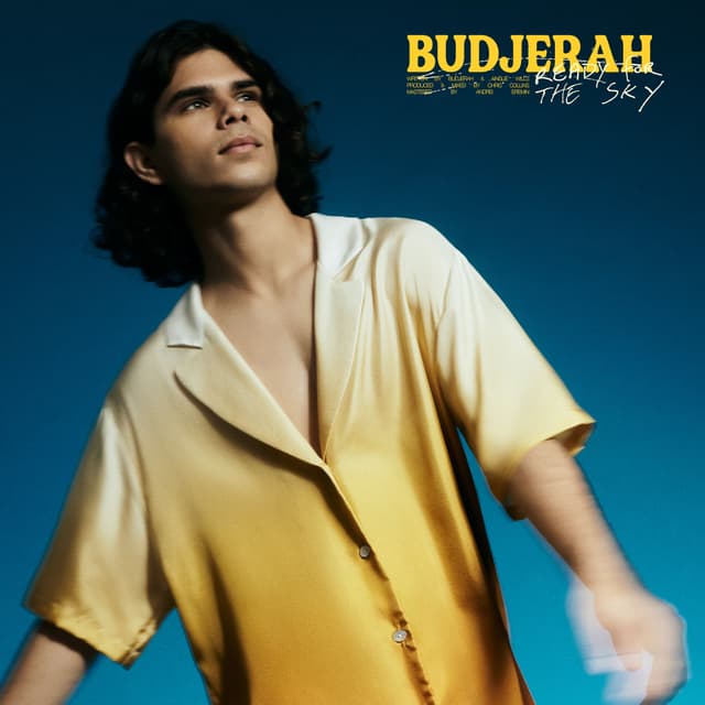 Album cover art for Ready For The Sky