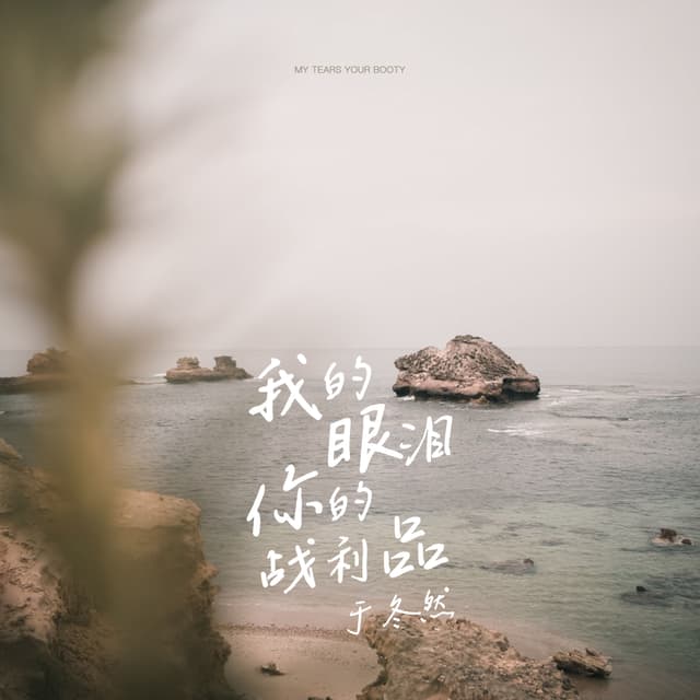 Album cover art for 我的眼泪 你的战利品