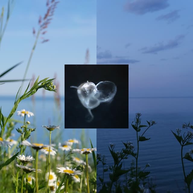 Album cover art for Nascent