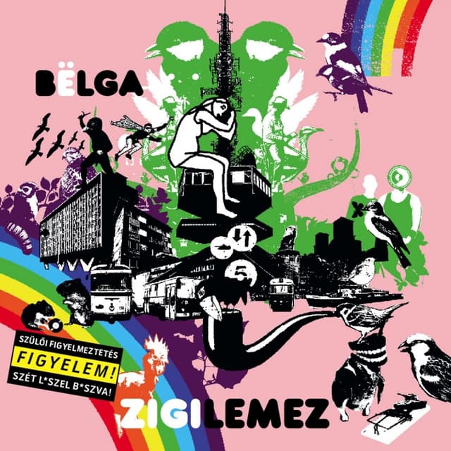 Album cover art for Zigilemez