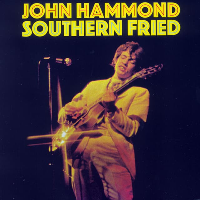 Album cover art for Southern Fried