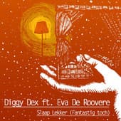 Album cover art for Slaap Lekker (Fantastig toch)