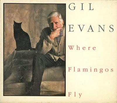 Where Flamingos Fly