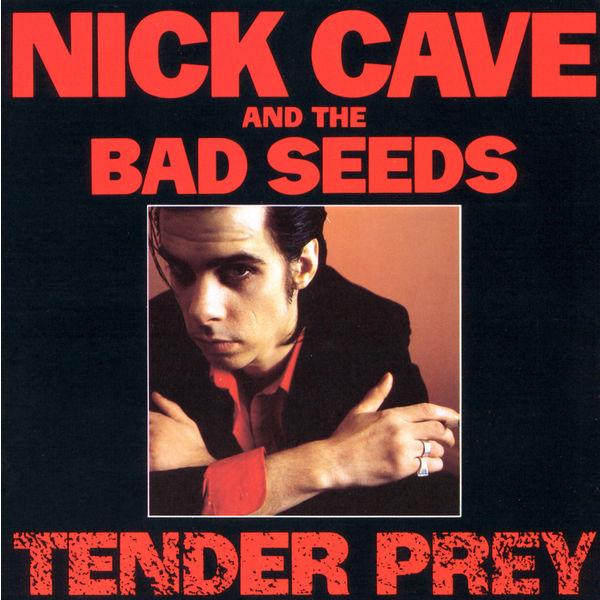 Album cover art for Tender Prey