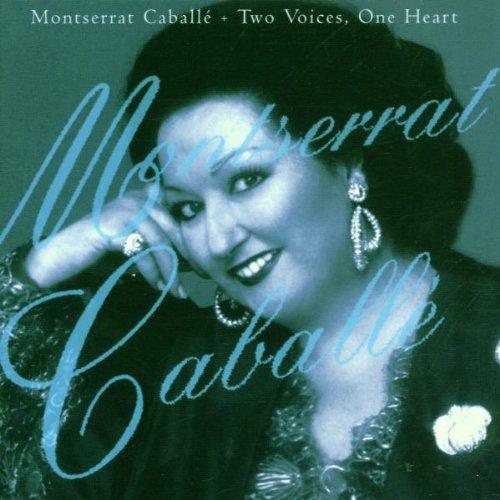 Album cover art for Two Voices, One Heart