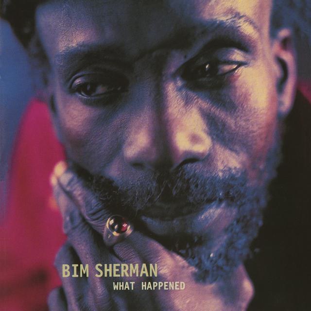 Album cover art for What Happened ?