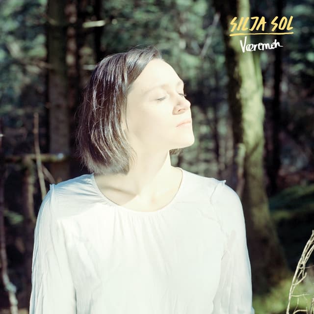 Album cover art for Væremeh