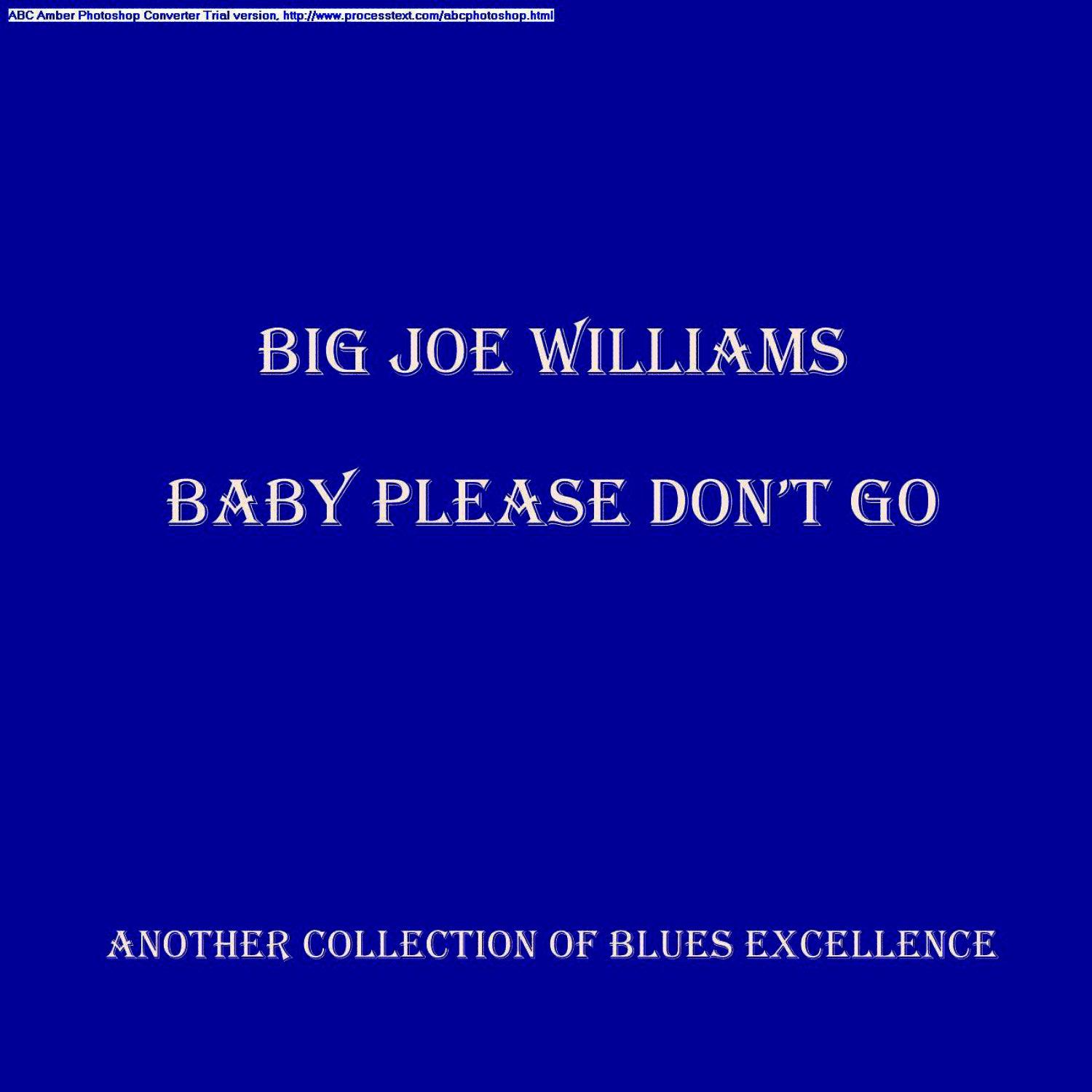 Baby Please Don't Go