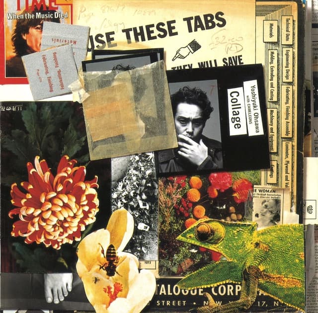 Album cover art for Collage