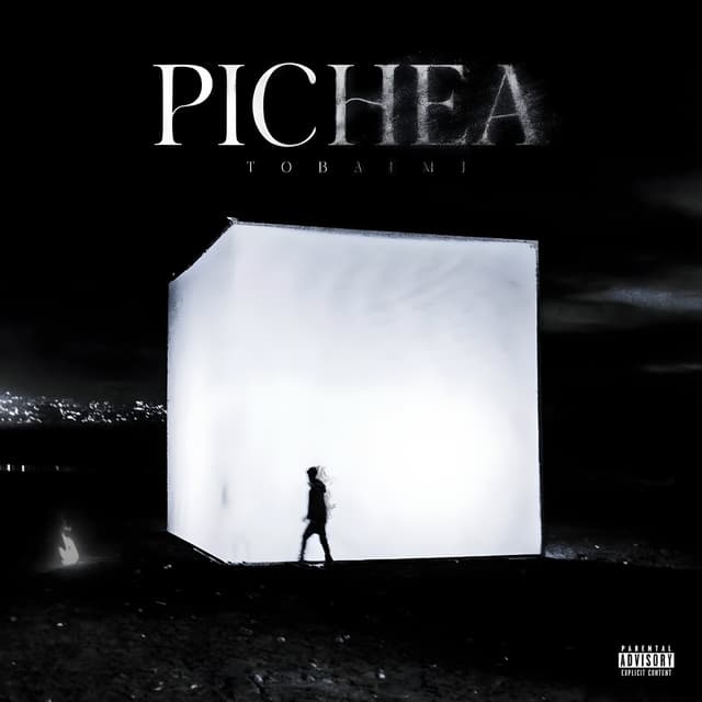 Album cover art for Pichea