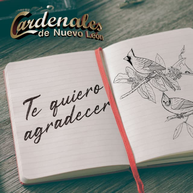 Album cover art for Te Quiero Agradecer