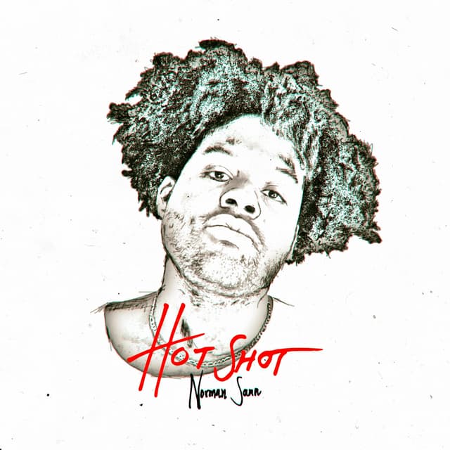 Album cover art for Hot Shot